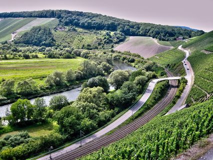 萨尔，河流，景观，葡萄园，萨尔，河流，自然，乡村风光，场景