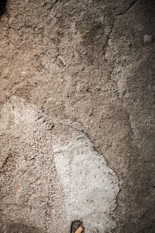 地面、土路、道路、砾石、户外、自然、土地、土壤