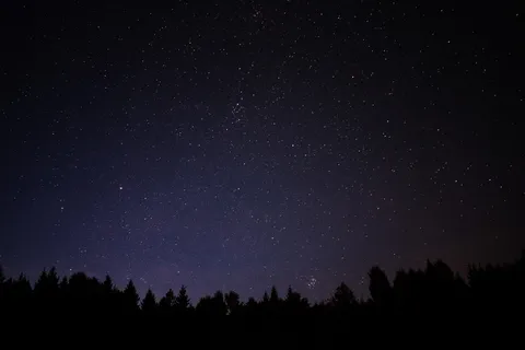 星夜下的树影 星夜下的树影