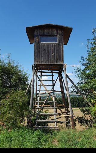 狩猎，欢乐，自然，蓝色，建筑，建筑结构，植物，天空