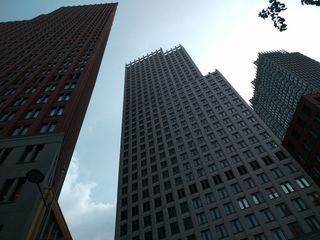 公司、承包商、企业家、建筑、商业、high、beech、荷兰