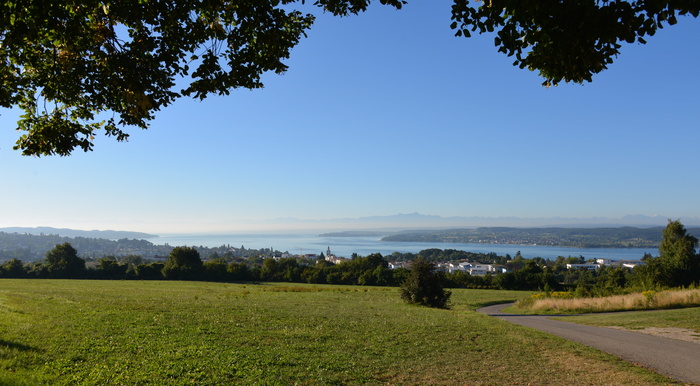 康斯坦斯湖，风景，湖景，尤伯林根，天空，湖泊，太阳，水