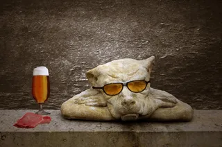 布朗，狗，太阳镜，警卫，宁静，无聊，舒适，啤酒