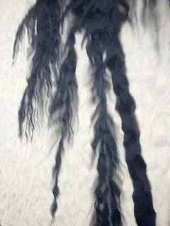 沙滩上热带棕榈树的影子