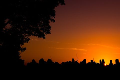 日落, 橙色, 树荫, 树, 天空, 景观, 黄昏, 颜色