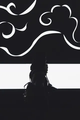 剪影，女人，提着，包，黑，白，人，走路