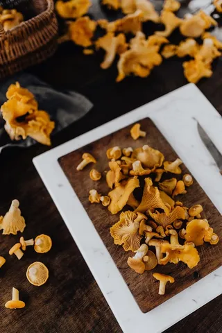 在树林里采蘑菇