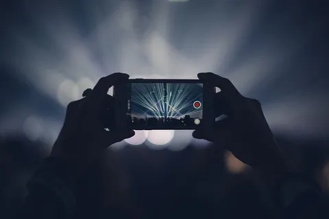 录制现场音乐会视频的人 录制现场音乐会视频的人