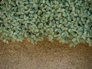 法国、波尔多、禅宗、壁纸、自然、柔和、lumix、白天