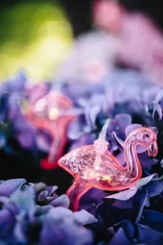 火烈鸟淡花环和粉色花朵