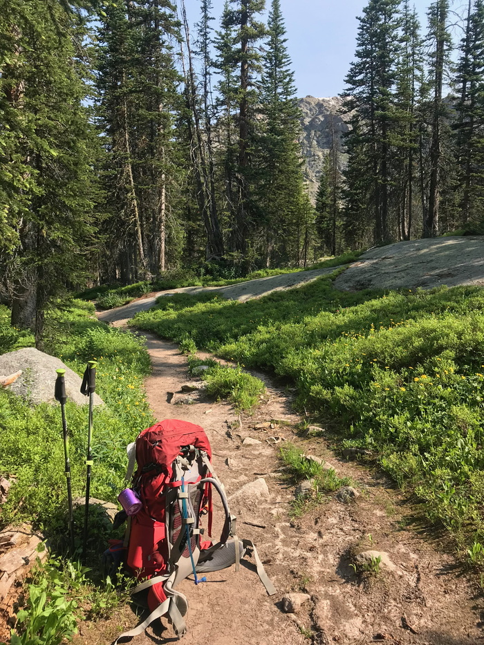 美国, 病房, 3000 县 rd 115, 徒步旅行, 露营, 线索, 背包旅行, 远足