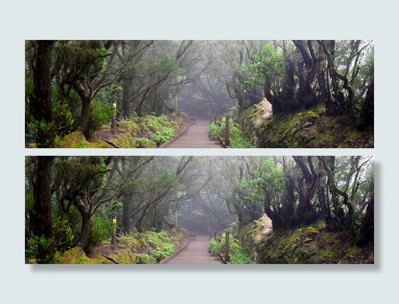 特内里费，阿纳加山脉，迁徙路径，徒步旅行，山脉，加那利群岛，月桂林，远足