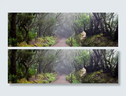 特内里费,阿纳加山脉,迁徙路径,徒步旅行,山脉,加那利群岛,月桂林,远足 特内里费,阿纳加山脉,迁徙路径,徒步旅行,山脉,加那利群岛,月桂林,远足