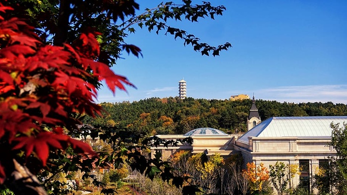 季节，秋天，五颜六色，秋天，十月，中国，自然，树木