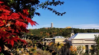 季节，秋天，五颜六色，秋天，十月，中国，自然，树木