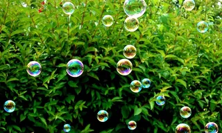 肥皂泡，彩色，植物，夏天，飞行，制造肥皂泡，镜像，肥皂水