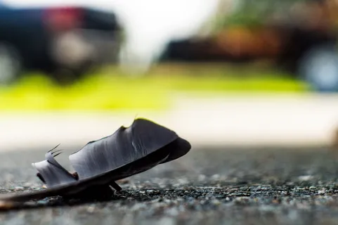 羽毛，波基，50毫米，地面，选择性聚焦，白天，特写，无人