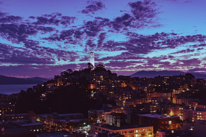 美国, 旧金山, 科伊特塔, 树, 夜, 灯, 天台, 夏季