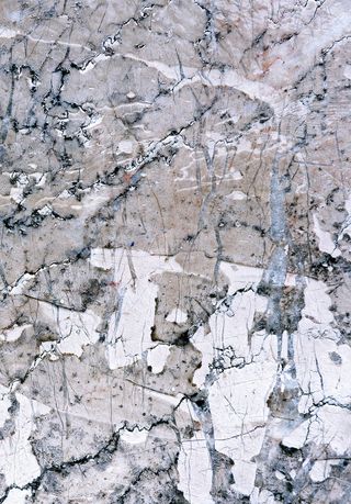 岩石，大理石，植物，纹理，花岗岩，军装，军用，树木