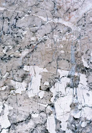 岩石，大理石，植物，纹理，花岗岩，军装，军用，树木