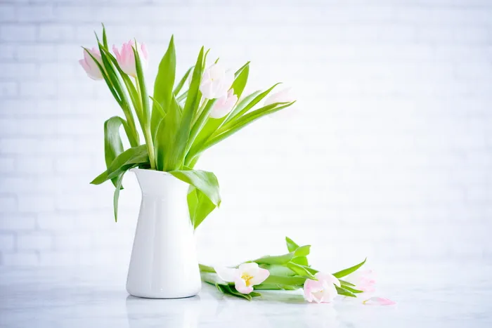 白色, 花瓶, 粉色, 郁金香花, 花, 花瓣, 开花, 花园