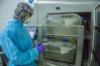 动物收容设施, 动物, 遏制, 生物技术研究所, 马来西亚沙巴大学, 高压灭菌器, 生物安全, 室内