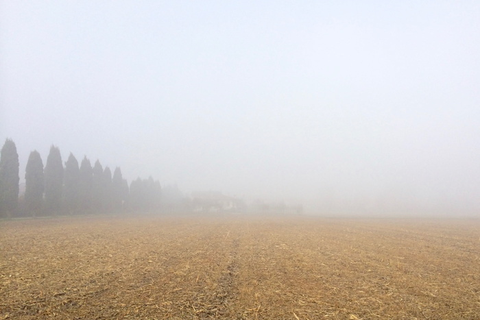 开阔，田野，多云，天空，沙漠，白天，时间，树木