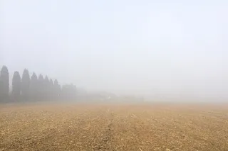 开阔，田野，多云，天空，沙漠，白天，时间，树木