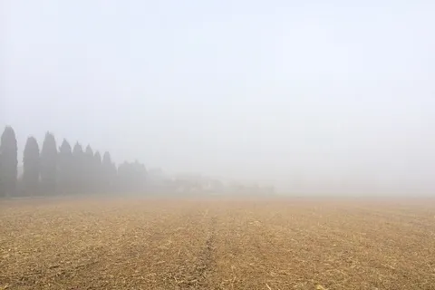 开阔,田野,多云,天空,沙漠,白天,时间,树木 开阔,田野,多云,天空,沙漠,白天,时间,树木