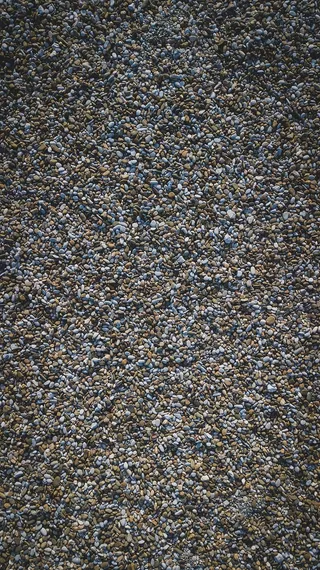 道路、土路、砾石、地毯、岩石、树木、植物、图案