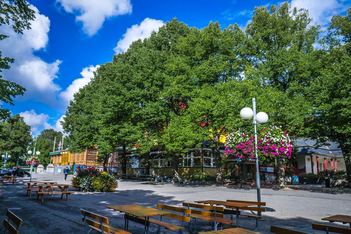 skansen、斯德哥尔摩、瑞典、斯堪的纳维亚、公园、树木、植物、建筑