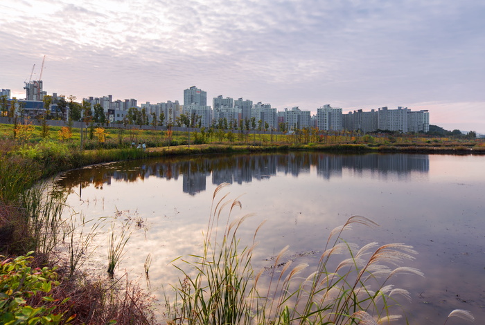 城市建筑，身体，水，白天，韩国，大韩民国，京畿道，旧金山
