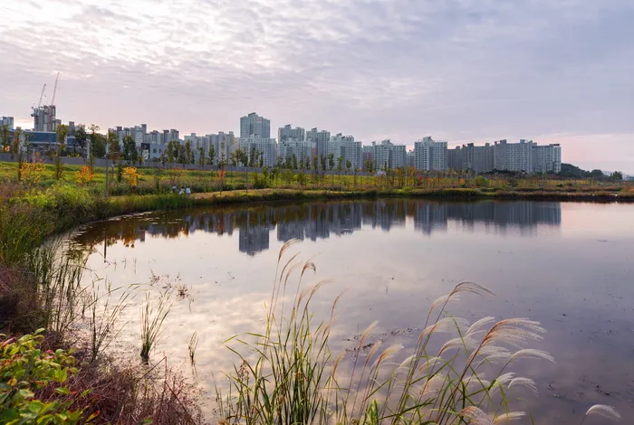 城市建筑，身体，水，白天，韩国，大韩民国，京畿道，旧金山