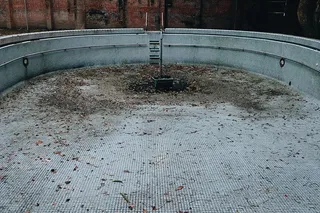 游泳池，游泳池，弃置，弃置，台北，*，树叶，落叶