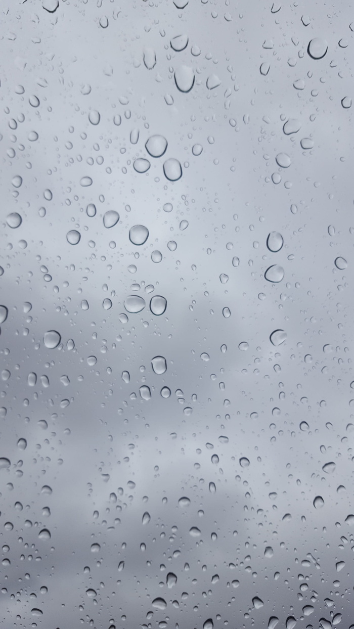 雨、湿、珍珠、开、水滴、水滴、纯度、露水