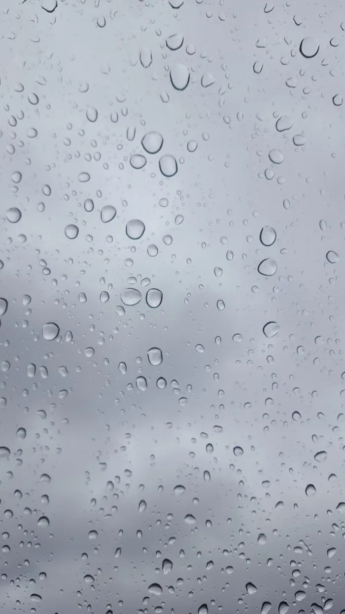 雨、湿、珍珠、开、水滴、水滴、纯度、露水