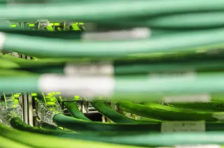 美国、华盛顿、有线电视、数据、大数据、绿色、绿色、选择性聚焦