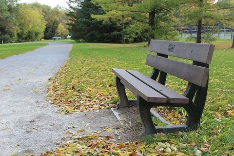 Cornelio，Montalbo，Park，Bench，Park，Bench，nature，Outdoor，tree