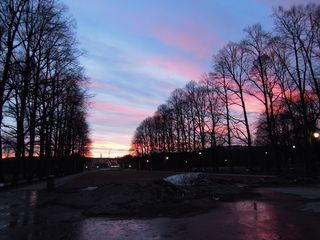 奥斯陆，下午，傍晚，太阳，树，天空，日落，植物，云朵-天空