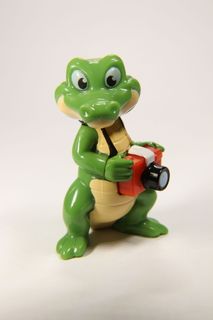 鳄鱼、照相机、摄影师、爬行动物、快照、鳄鱼、蜥蜴、照片