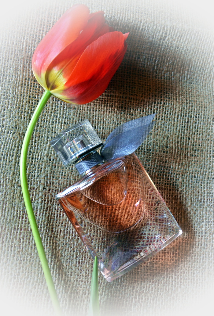 郁金香，香水，感觉，花，爱情，浪漫，没有人，特写
