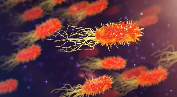 细菌、医学、生物学、健康、解剖学、科学、医学、医疗保健 细菌、医学、生物学、健康、解剖学、科学、医学、医疗保健
