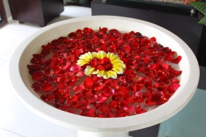 碗，水，玫瑰，花瓣，lebar cm岛，水疗，酒店，红色