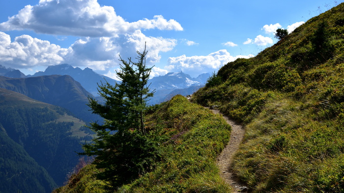 山，环绕，绿色，草，树，远去，风景，自然