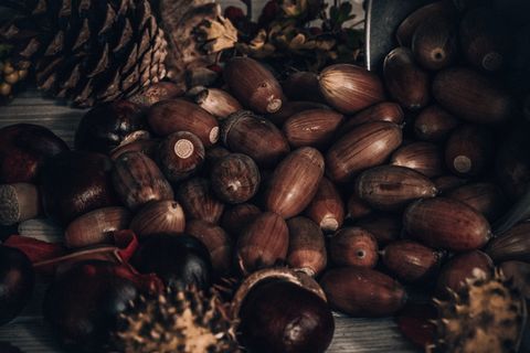 棕色坚果束