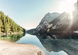 黎明，群山，自然，天空，平静，晴朗的天空，黄昏，森林