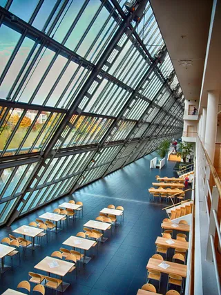 在温室里工作的人