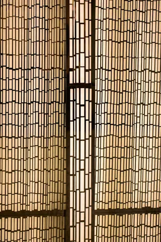 植物、竹子、门、纹理、地板、墙壁、图案、家居装饰