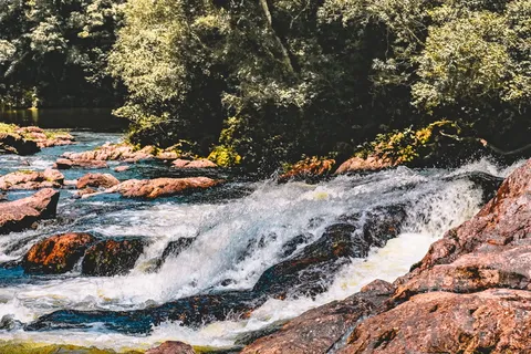 水、自然、户外、河流、小溪、小溪、瀑布、植物