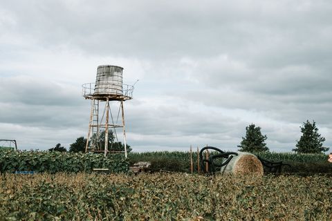 云-天空、田野、天空、土地、植物、农业、自然、白天